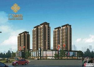 儋州家园广场爆料视频最新,惊人事件引发热议！