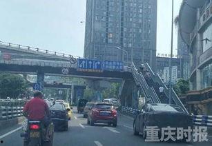 重庆市民爆料最新,神秘事件引发热议，真相究竟如何？